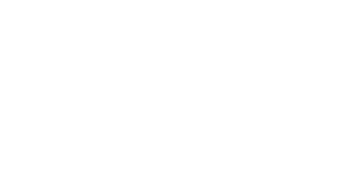 Nitto W