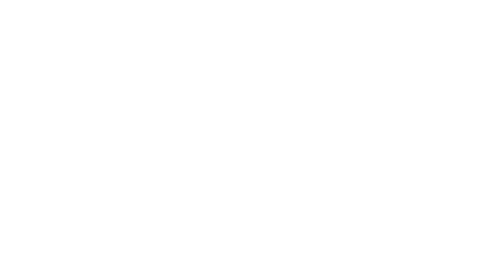 Saint Gobain W