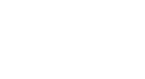 Sekisui W